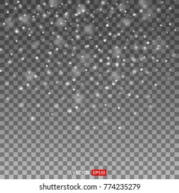 Abstract snowflake background. Falling snow on a transparent background.  Fall of snow. Vector illustrator 10 EPS.