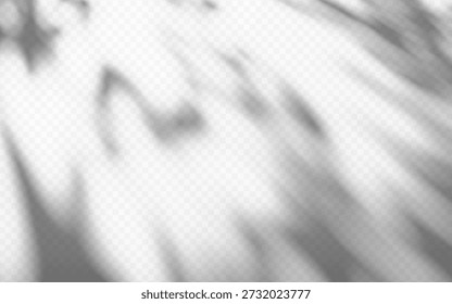 Abstractas suave sombra de luz moteada superpuesta de rama de árbol sobre un fondo transparente. Efecto de Vector de árbol de Gobo