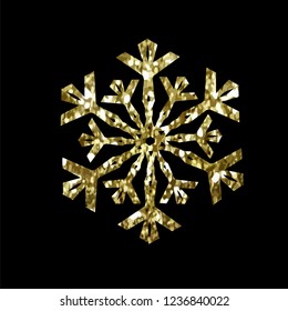 Abstract Sparkle Snowflake. Vector