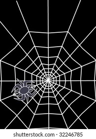 abstract spider with white cobweb on black background