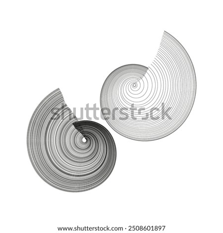 Abstract spiral shapes. Black and white lines. Nautilus inspired design. Geometric pattern illustration.