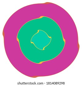 Abstract spiral, swirl, twirl and vortex shapes in vivid, vibrant colors