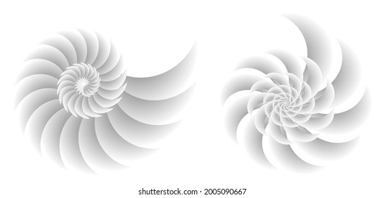 Abstract spiral tor design element on white background of twist lines. Vector Illustration eps 10 for icon beauty salon, for elegant business card,  background event party flyer