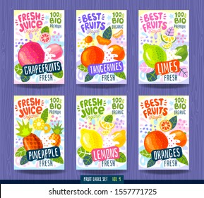 Abstract splash Food label template. Colorful brush stroke. Fruits, spices, vegetables package design. Pineapple, orange, lemon, tangerine, lime, grapefruit. Organic fresh. Drawing vector illustration