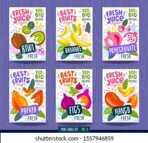 Abstract splash Food label template. Colorful brush stroke. Fruits, spices, vegetables package design. Fig, kiwi, mango, papaya, banana, pomegranate. Organic, fresh. Drawing vector illustration.