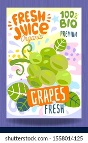 Abstract splash Food label template. Colorful brush stroke. Fruits, spices, vegetables package design. Grapes, berry, berries. Organic, fresh. Drawing vector illustration