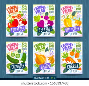 Abstract splash Food label template. Colorful brush stroke. Vegetables, fruits, spices, package design. Tomato, beet, beetroot, bell pepper, cucumber, onion, carrot. Organic fresh. Vector illustration