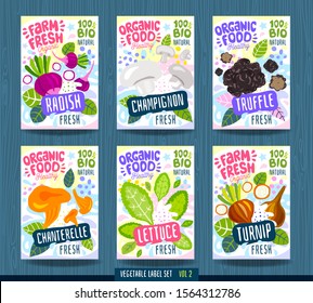 Abstract splash Food label template. Vegetables package design. Radish, mushrooms, champignon, truffle, chanterelle, lettuce, turnip. Organic fresh. Vector illustration