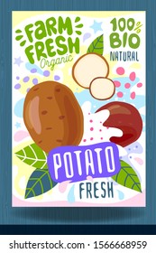 Abstract splash Food label template. Colorful brush stroke. Vegetables, fruits, spices, package design. Potato, potatoes, slice, leaf, sweet, ripe. Organic fresh. Vector illustration