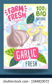 Abstract splash Food label template. Colorful brush stroke. Vegetables, fruits, spices, package design. Garlic, slice, herbs, ripe. Organic fresh. Vector illustration