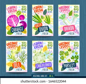 Plantilla de etiqueta de alimento para presentación abstracta. Verduras, frutas, especias, diseño de paquetes. perejil, coliflor, col, daikon, cebolla verde, eneldo. Orgánico fresco. Ilustración del vector