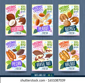 Abstract splash Food label template. Nuts, herbs, fruits, spices, package design. Coconut, peanut, nutmeg, pecan, brasil nut, walnut. Organic fresh. Vector illustration