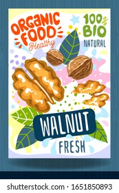 Abstract splash Food label template. Colorful brush stroke. Nuts, vegetables, herbs, spices, package design. Walnut. Organic fresh. Vector illustration
