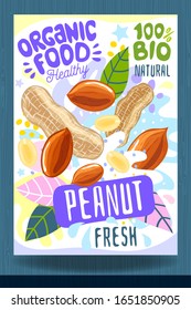 Abstract splash Food label template. Colorful brush stroke. Nuts, vegetables, herbs, spices, package design. Peanut. Organic fresh. Vector illustration
