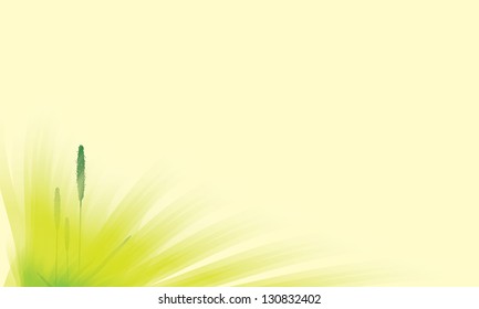 abstract spring background
