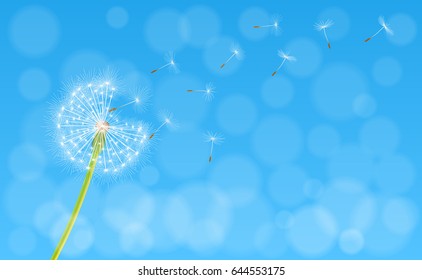Abstract spring background with dandelion flower and seeds, vector illustration.