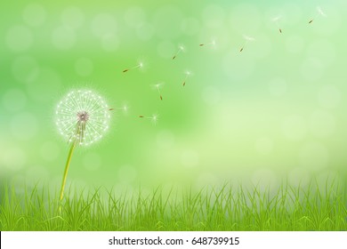 Abstract spring  background with dandelion flower and grass, vector illustration.