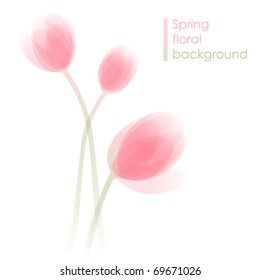 Abstract spring background with delicate tulip flowers