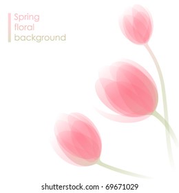 Abstract spring background with delicate tulip flowers