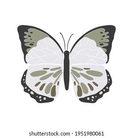 Abstract spring butterfly, boho butterfly vector, isolated spring insect, nature elements, multicolour drawing buterfly, vector illustration