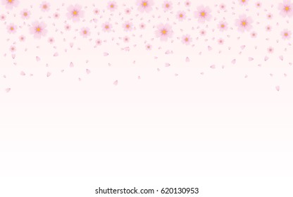 abstract Spring cherry blossoms or pink flower on white color background