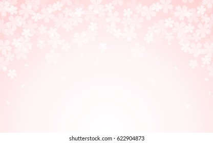 abstract Spring cherry blossoms or pink flower on pink color background