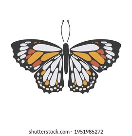 Abstract spring colorful butterfly, boho butterfly vector, isolated spring insect, nature elements, beautiful multicolour drawing buterfly, vector illustration