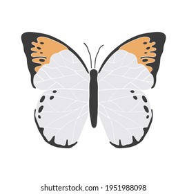 Abstract spring colorful butterfly, boho butterfly vector, isolated spring insect, nature elements, beautiful multicolour drawing buterfly, vector illustration