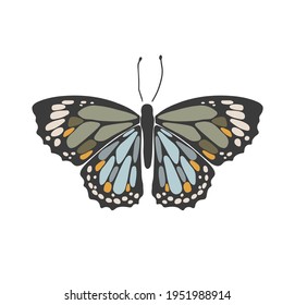 Abstract spring colorful butterfly, boho butterfly vector, isolated spring insect, nature elements, beautiful multicolour drawing buterfly, vector illustration