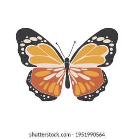 Abstract spring colorful butterfly, boho butterfly vector, isolated spring insect, nature elements, beautiful multicolour drawing buterfly, vector illustration