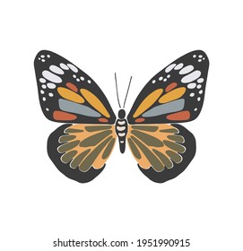 Abstract spring colorful butterfly, boho butterfly vector, isolated spring insect, nature elements, beautiful multicolour drawing buterfly, vector illustration