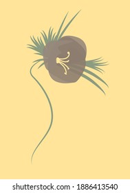 Abstrakte Frühlingsblume auf weißem Hintergrund