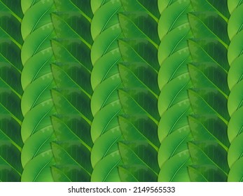Abstract  spring nature background. Green concept