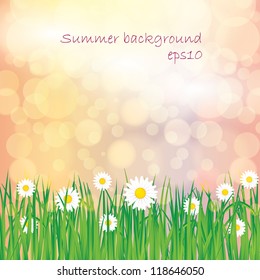 Abstract spring summer background with grass