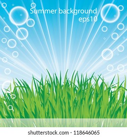 Abstract spring summer background with grass