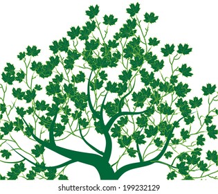 Abstract spring tree. Vector illustration.