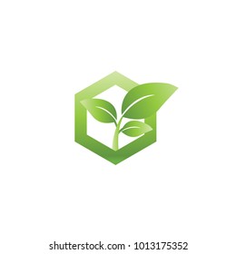 Abstract sprout in hexagon agriculture logo design template vector