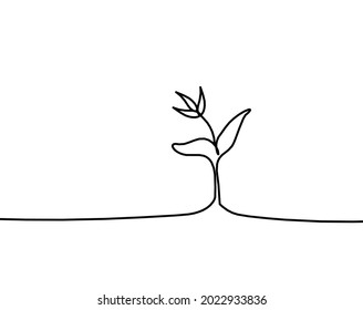 Abstract sprout as line drawing on the white background. Vector