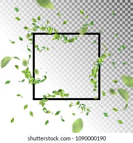 Abstract square frame with flying leaves. Vector background with blurred transparent elements