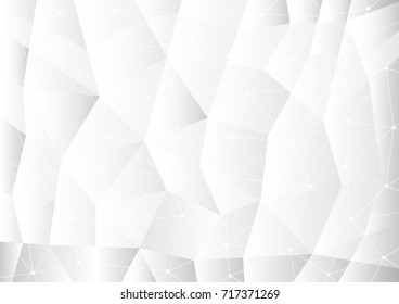 abstract square and polygon blank paper white and gray tone vector background, rectangle overlapping with shadow modern concept, technology network design