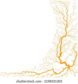 Abstract square shape illustration of tree roots.