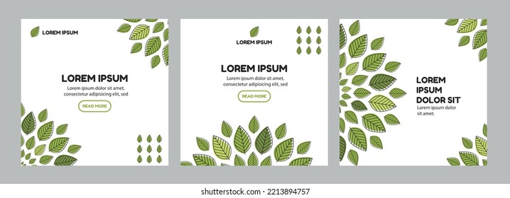 Abstract square templates with leaves.  
Vector illustration. 