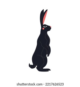 Abstract standing black rabbit with red cheeks and eyes. Chinese New Year 2023 symbol. Easter bunny black silhouette, mystic hare, astrological, botanical, esoteric. Hand drawn vector illustration.