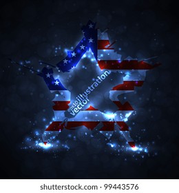 The abstract star with american flag, creative vector illustration eps10