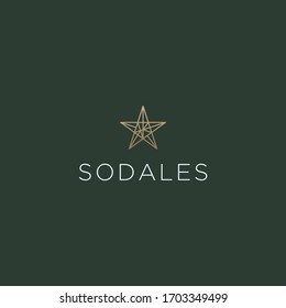Diseño vectorial del logotipo de la línea estrella abstracta