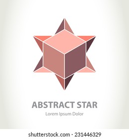 Abstract Star Logo with box inside. Vector logotype design element