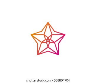Abstract Star Logo Design Element