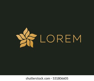 Abstract star logo design template. Leaf flow wave wool vector logotype. 