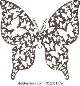 Abstract stencil asymmetry brown outline butterfly from white butterflies.Vector illustration for decor