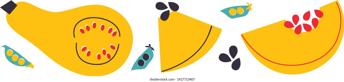 Abstract still life banner. Collection of contemporary art. Abstract cut elements, fruits and berries for social media, postcards, print. Hand drawn pumpkin.